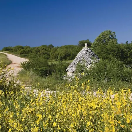 Apartment Modrusani Modrusani Modrušani