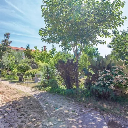 Apartment Modrusani Modrusani Appartement *